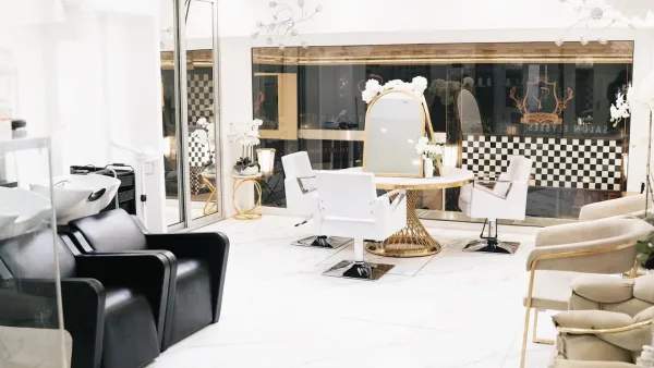 Salon elysees paris