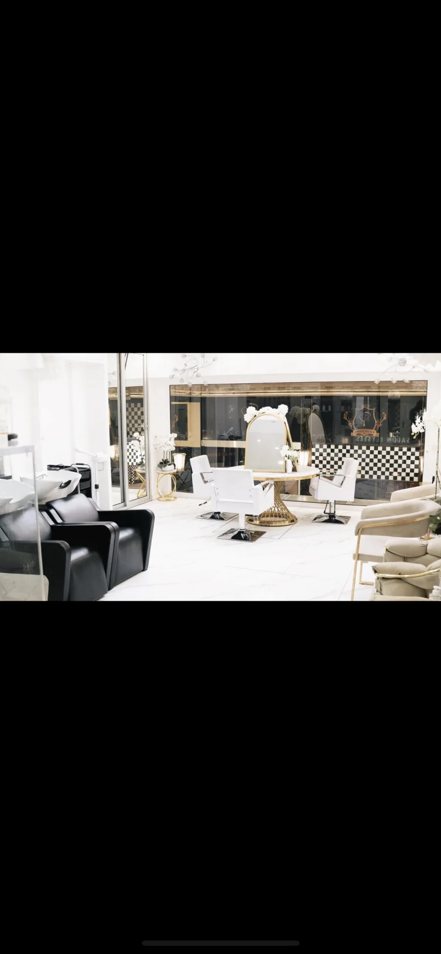 Salon elysees paris