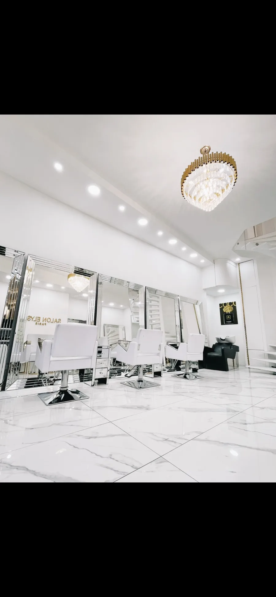 Salon elysees paris